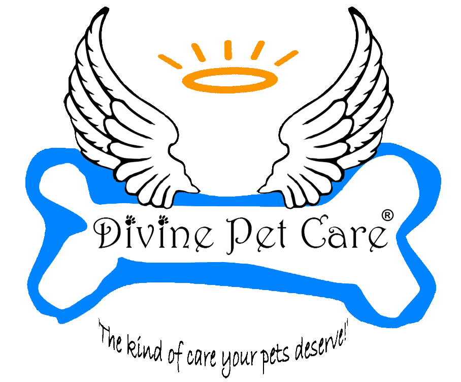 Divine Pet Care